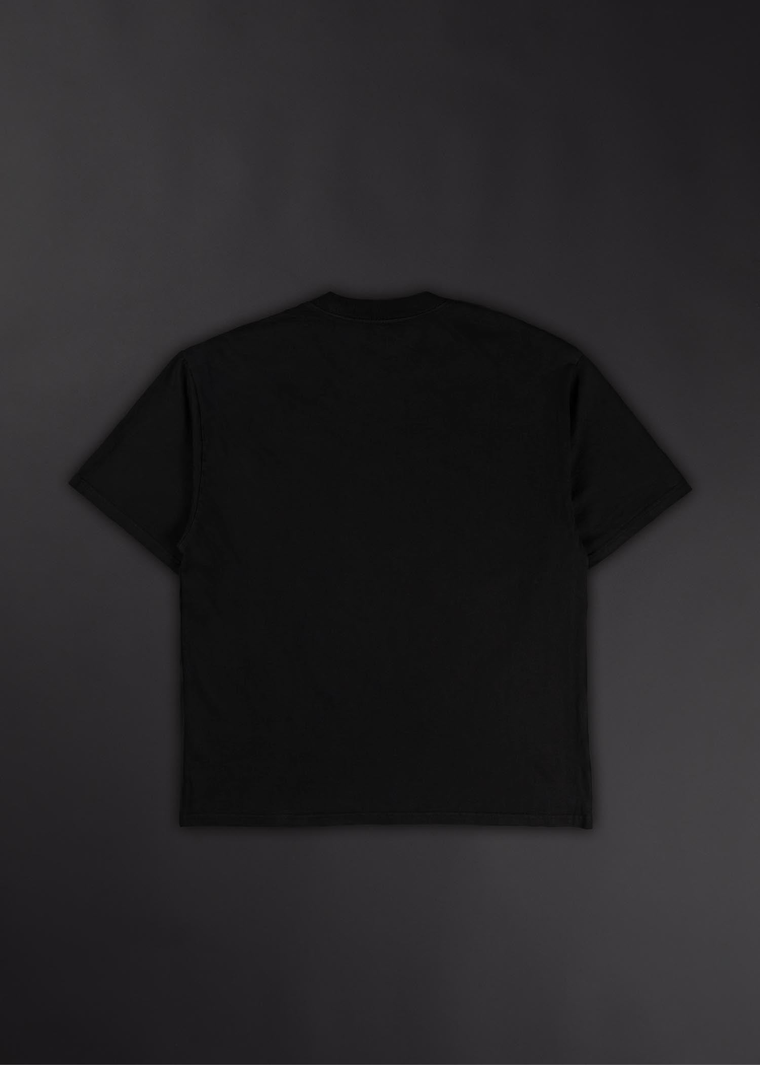 "Fallen" Dante's Inferno Graphic T-Shirt