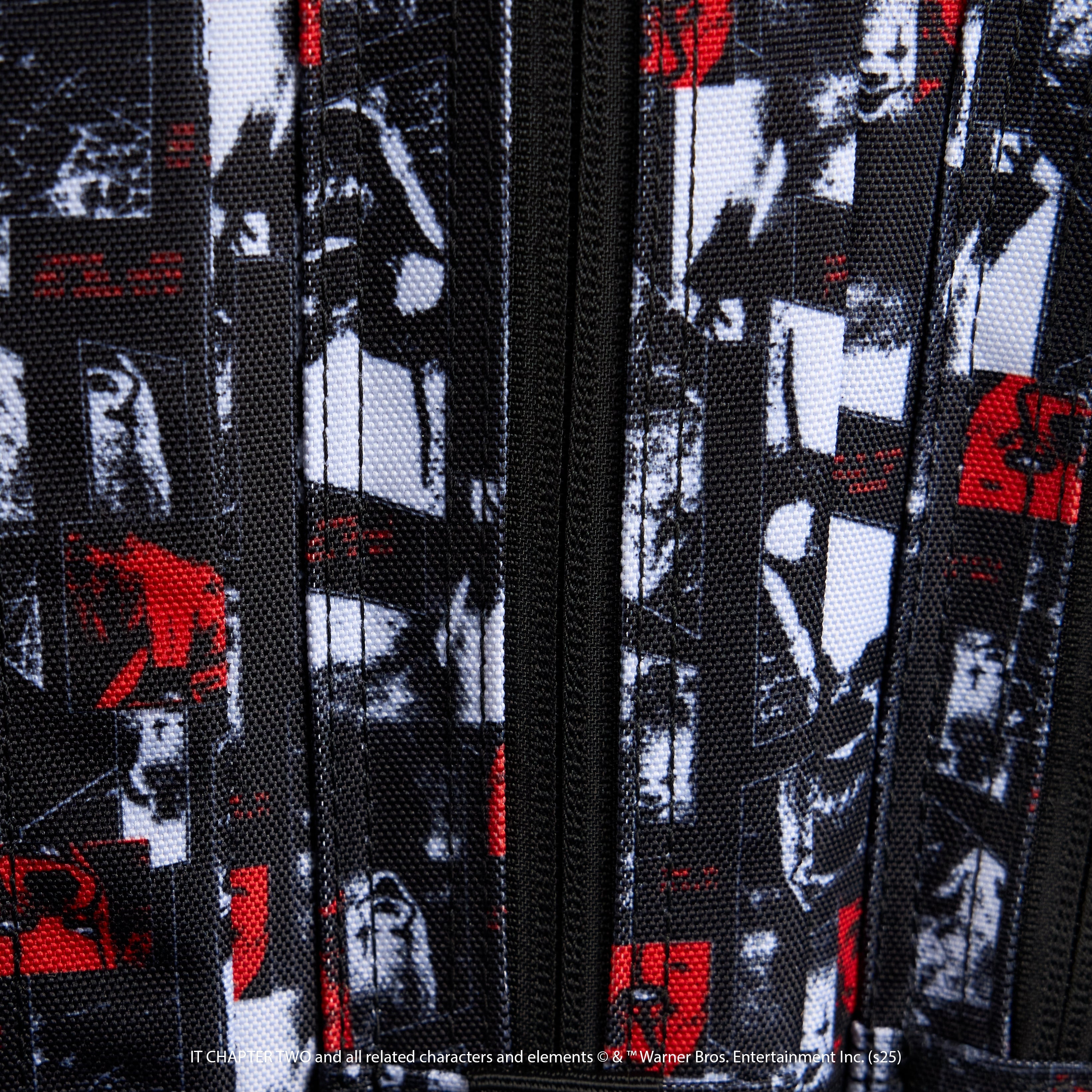 35L Backpack IT Chapter 2