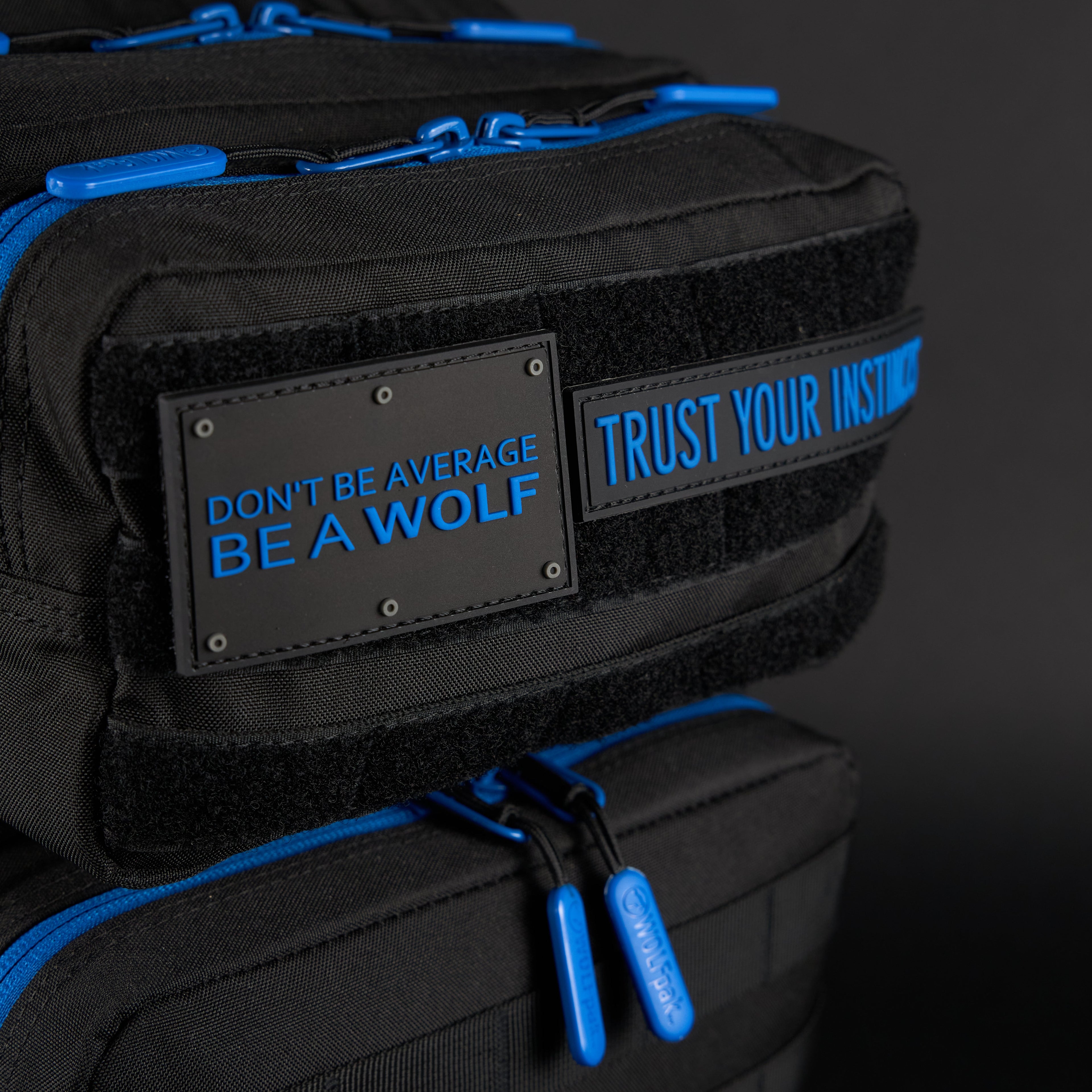25L Backpack Blue Wolf