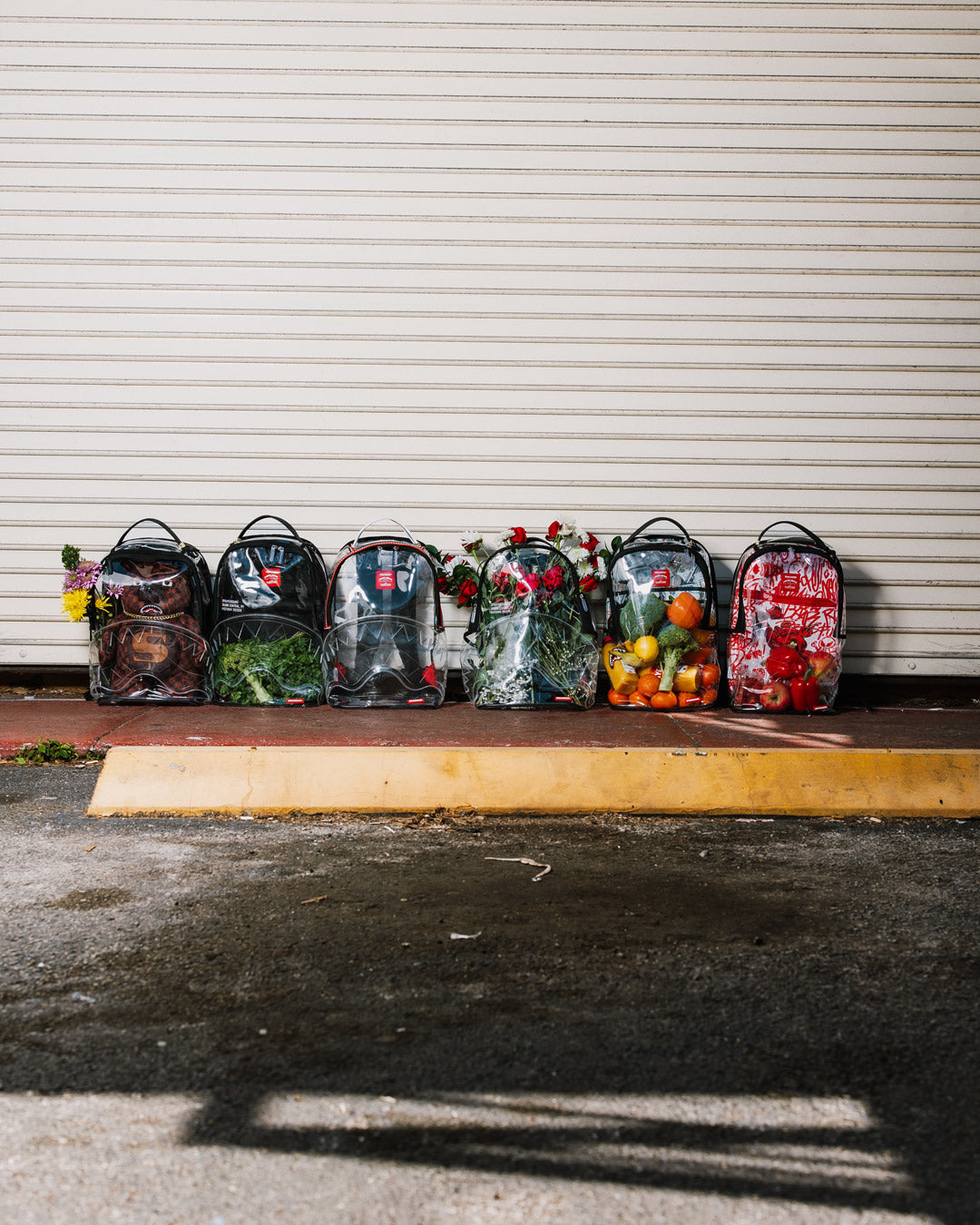 100% CLEAR BACKPACK - SHARK CENTRAL